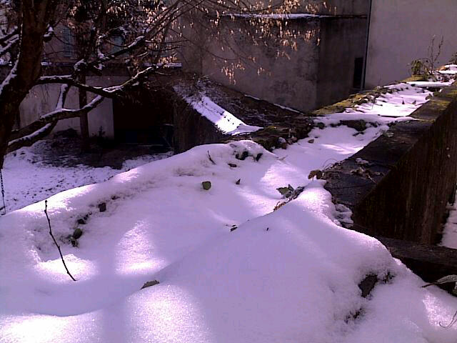 20100131_151227.jpg